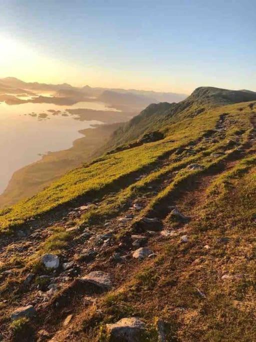 Koselig Garasjeloft! Daire Langevag Dış mekan fotoğraf